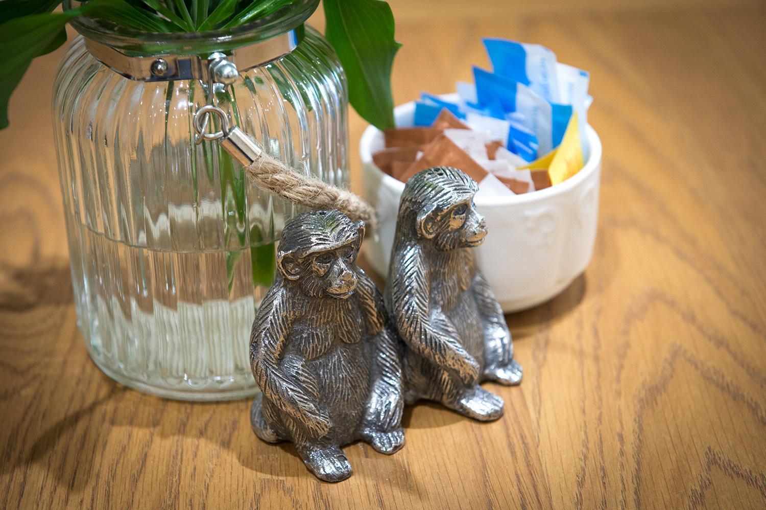 シュルーズベリー Darwin'S Townhouse Bed & Breakfast エクステリア 写真 Silver monkey salt and pepper shakers