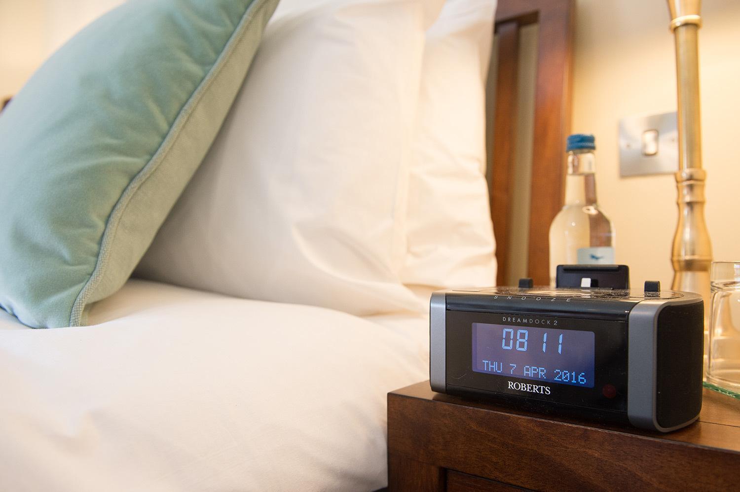 シュルーズベリー Darwin'S Townhouse Bed & Breakfast 部屋 写真 Roberts iRadio 2