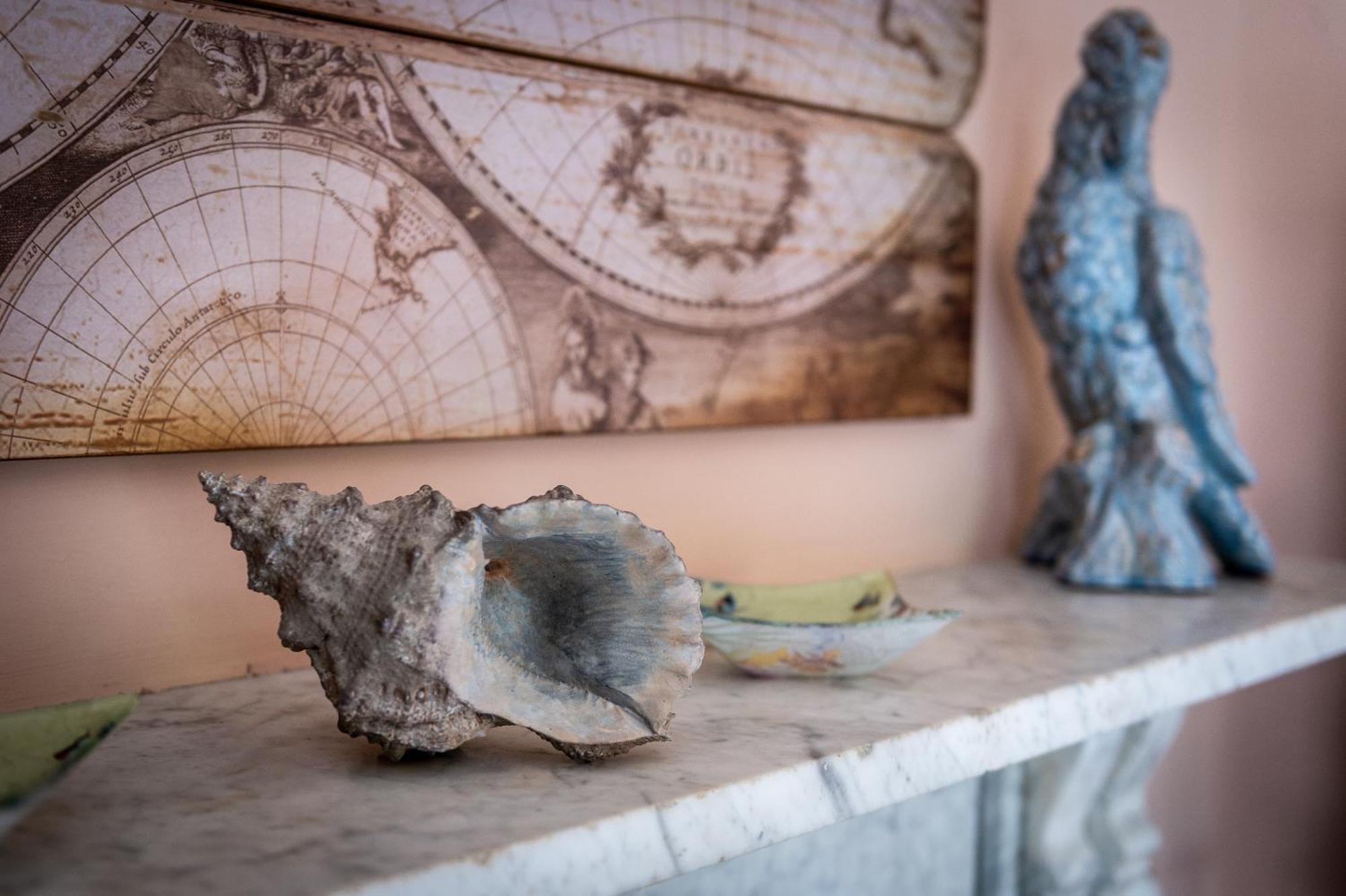 シュルーズベリー Darwin'S Townhouse Bed & Breakfast 部屋 写真 A conch shell